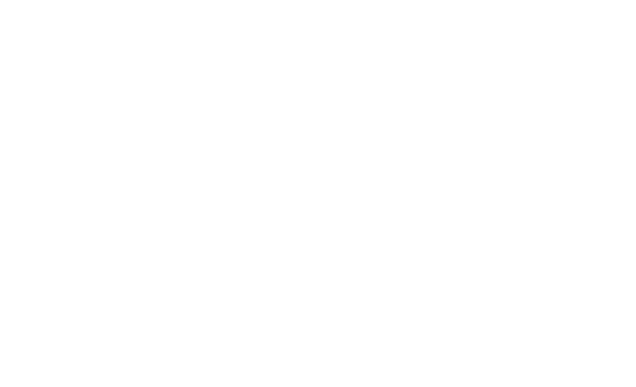 The Blue Zone Group